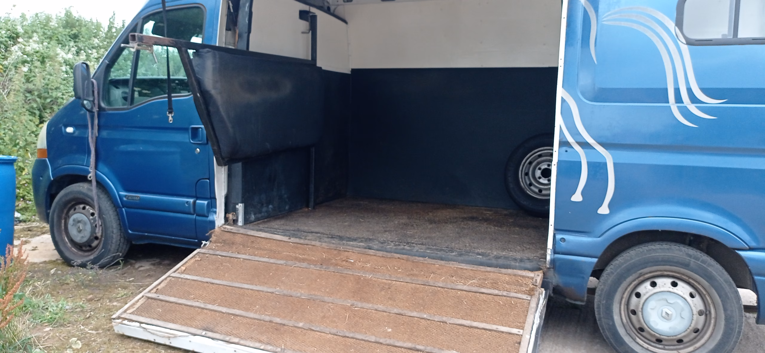 Renault master horsebox