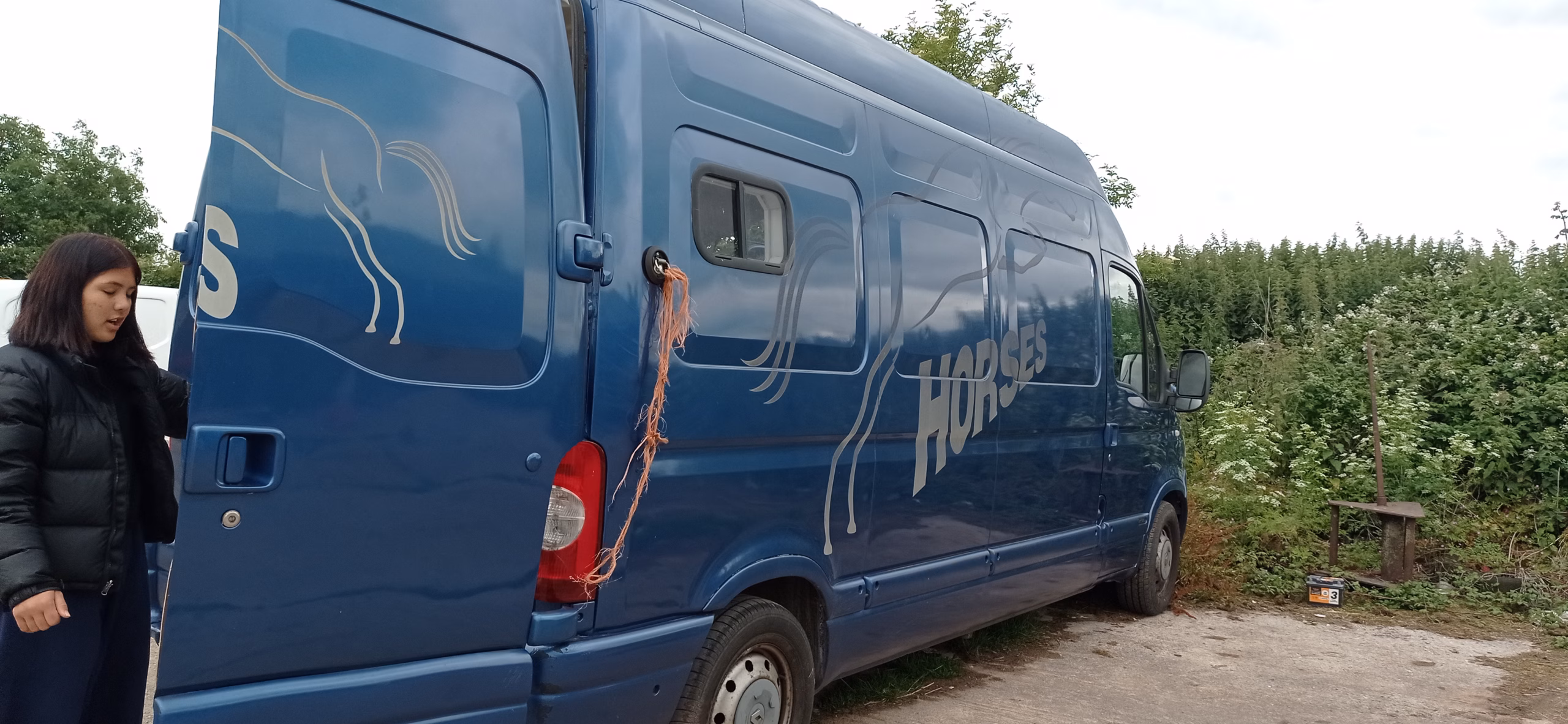Renault master horsebox