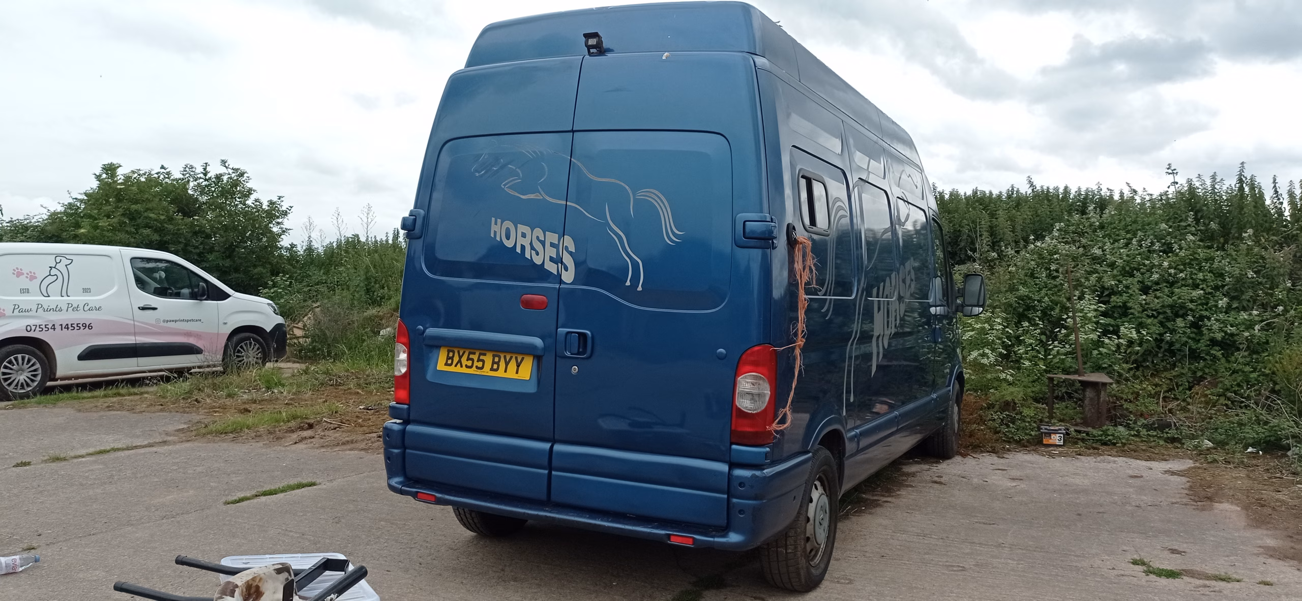 Renault master horsebox