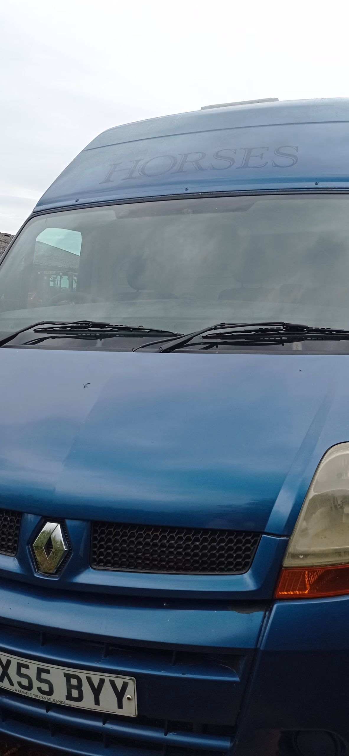 Renault master horsebox
